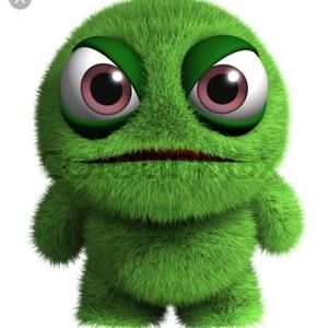 Meet your Posher, Gavin